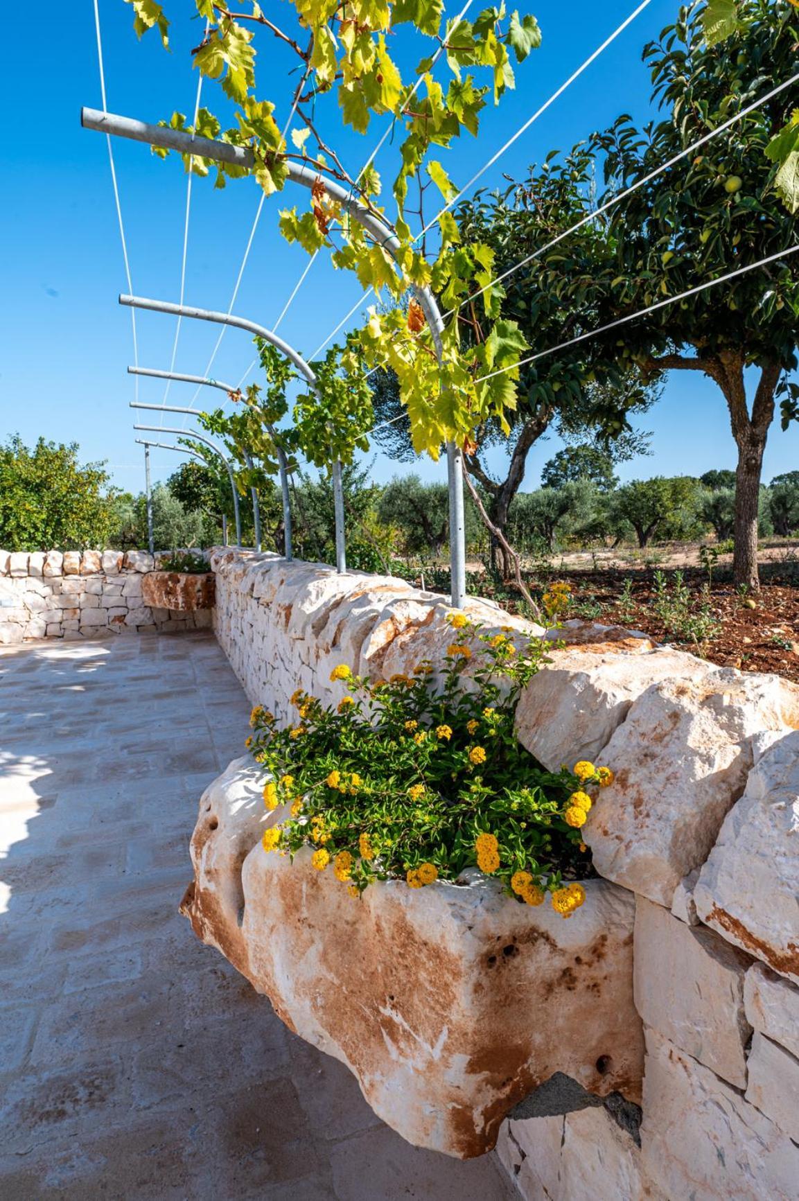 Bed And Breakfast Trulli San Leonardo Alberobello Kültér fotó